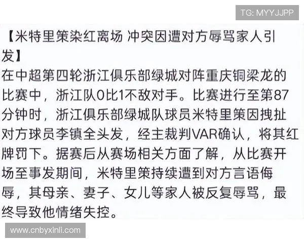 李镇全回应米特里策辱骂事件:语言不通误会 李镇全回应米特里策辱骂事件:语言不通误会